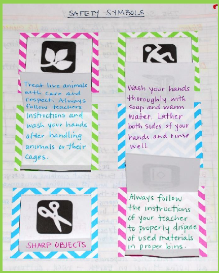 Interactive Notebook: Safety Symbols